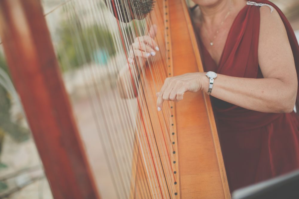 Harp