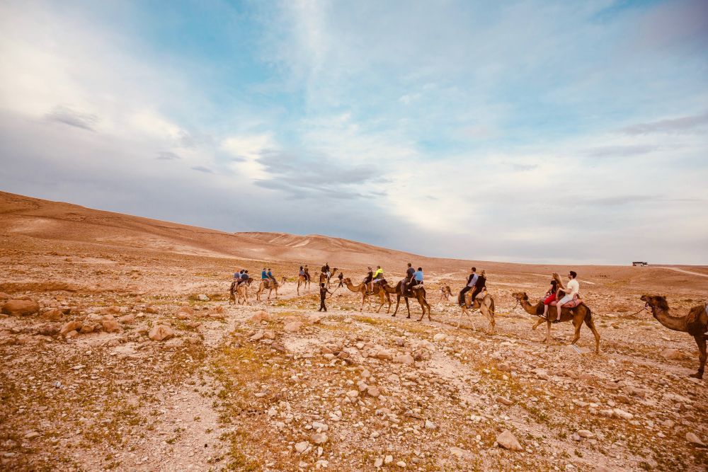 Kfar Hanokdim Bedouin Bar Mitzvah
