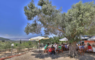 isaac's bar mitzvah shabbaton in galilee, israel. event planner