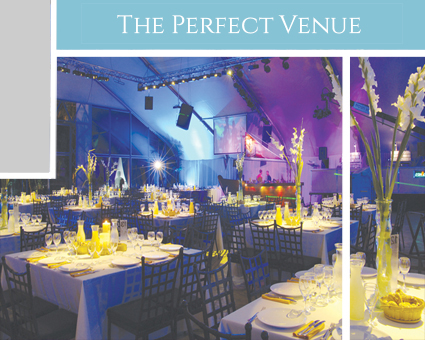 THE PERFECT VENUE