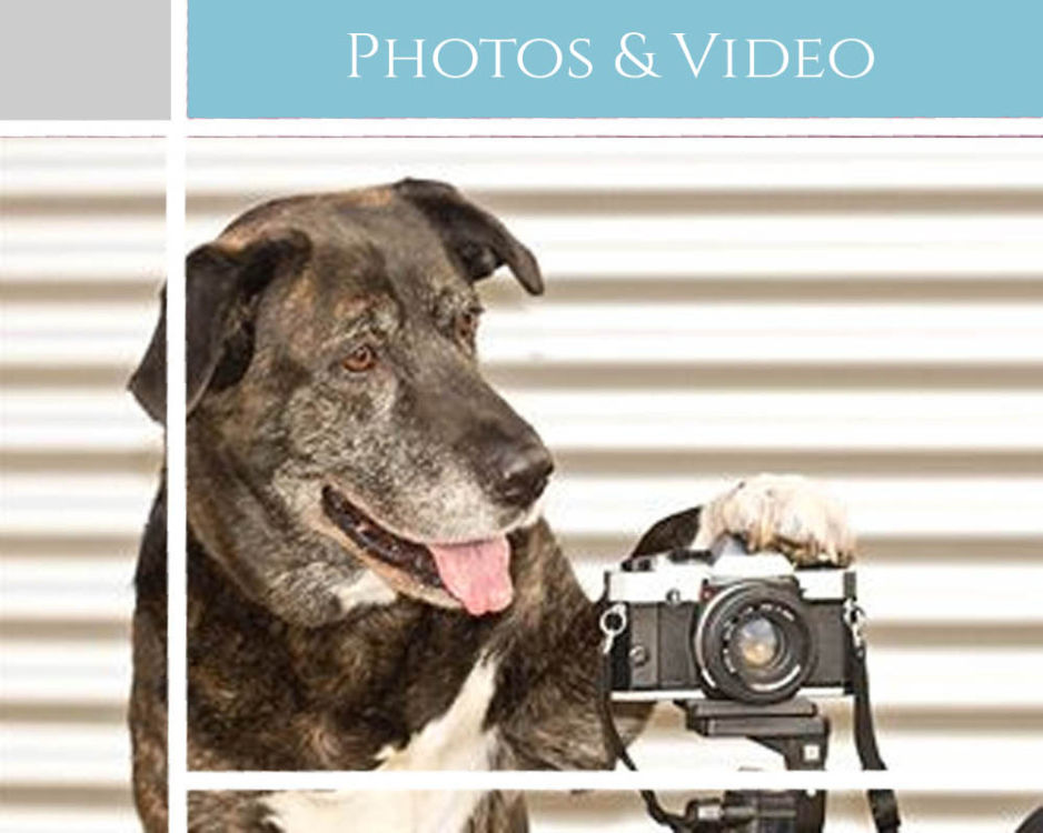 PHOTOS & VIDEO